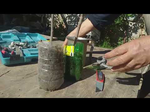 زراعة الكاكي او البلاكمين من العقل    