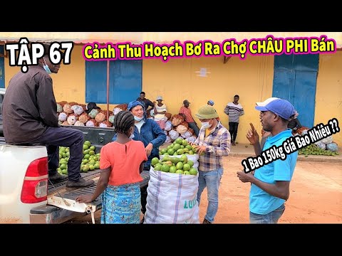 Video (Tập 67 ) Người Dân Kiếm Tiền Từ Đâu ? Cùng Tìm Hiểu... - youtube