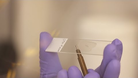 Using the FFPE Pretreatment Kit - Step 1. De-paraffinisation