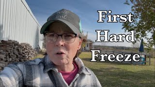 First Hard Freeze On The Farm Did We Lose Anything?