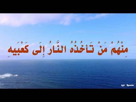 حديث م ن ه م م ن ت أخ ذ ه الن ار إ ل ى ك ع ب يه و من ه م م ن ت أخ ذ ه إ ل ى ر ك ب ت يه