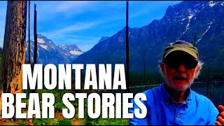 Montana Bear Stories