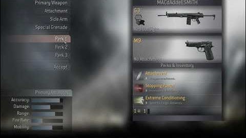 Call of duty 4 Multiplayer Weapons Mod
