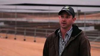 Why shade is important for Thomas Foods Feedlot, SA