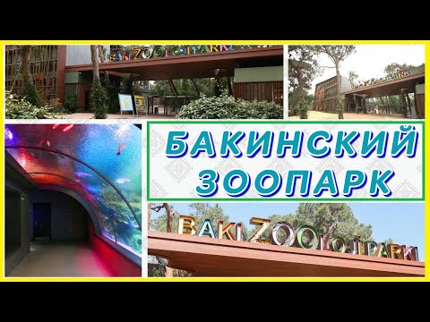 БАКИНСКИЙ ЗООПАРК