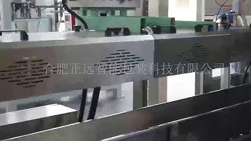 Automatic packaging line, bag feeding packaging machine+secondary packaging line, bags into cases.