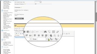 eWEB Online Shopping Software , How to insert your products screenshot 2