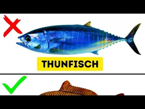 Video: Welche Fischsorten Sind Es Nicht Wert, Viel Gegessen Zu Werden?