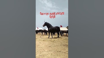 اخر ايتين من سورة البقرة #جمعة_مباركة #سورة_الكهف #اكسبلور #motivation #foryou