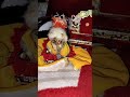 gajar ka halwa laddu gopal video viral reel #trending #funny