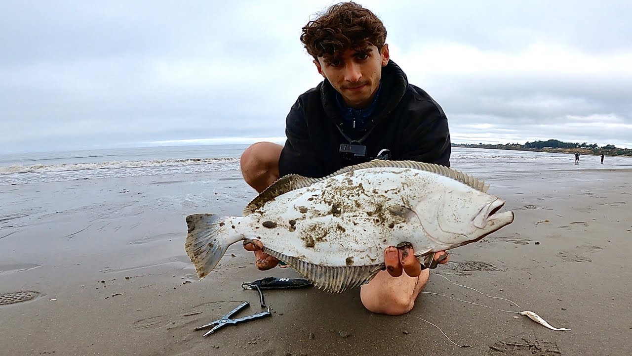 Halibut Fishing from the Beach in Northern California YouTube