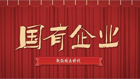 State owned enterprises: the enterprises funded and developed by the government