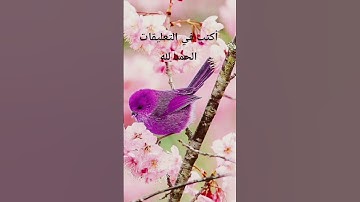 #حالات_واتس #تلاوة_خاشعة #تلاوة_مؤثرة #حالات #حالات_واتساب #صوت_يريح_القلب #صلوا_علي_النبي #قرآن