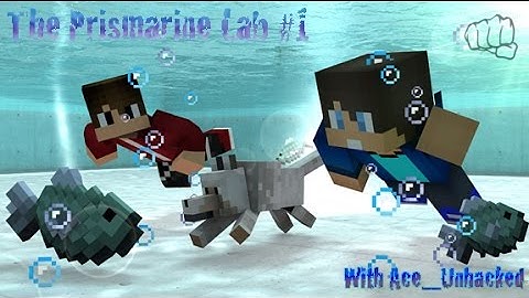 The Prismarine Lab #1 w/ Ace_Unhacked | Ahhhh Puzzles!!!