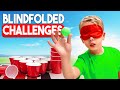 We Tried To Do Challenges Blindfolded | Gaby and Alex Family