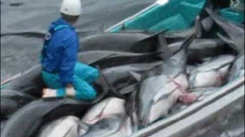 KABUTO THE PYTHON - BAD PRONUNCIATION