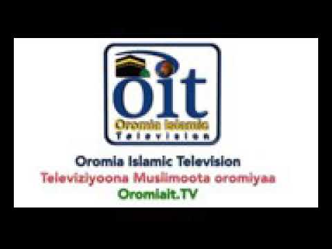 Gorsa Obsaa Shee Nasir Hamza