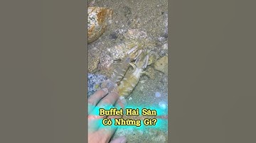🦀 Buffet Hải Sản Ở Biển Tươi Đến Mức Nhảy Luôn! #tiktok #trending #douyin #shorts #giaitri #QuangKhờ