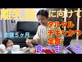 【松のや】タルタルチキンかつ定食食べてるだけ。もこたんの離乳食を始めるために食べてるところを見せてます
