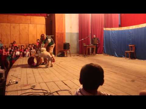 საცირკო წარმოდგენა ტყვიავში