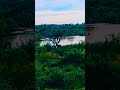 River on Malvatooya in Sri Lanka 💚💚💚
