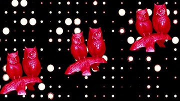 Accompished Intent Visualizer