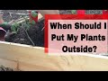 When Should I Plant Tomatoes Outside?