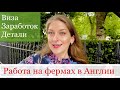 Работа в Англии. Работа на ферме Великобритании. Виза сезонного работника Англия. Сколько заработок?