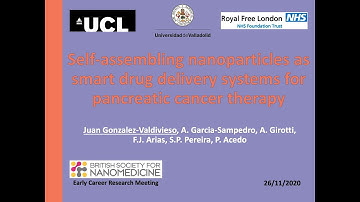 Self-assembling nanoparticles as smart drug delivery systems for pancreatic cancer therapy