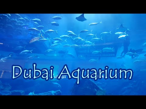 DUBAI AQUARIUM 2020//A SHORT LEISURE TRIP AFTER LOCKDOWN