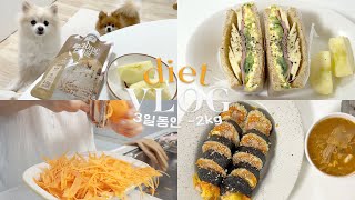 다이어트 브이로그🥕 (3일동안 -2kg, 다이어터 김밥&샌드위치, 참치두부쌈장) | 일상 브이로그