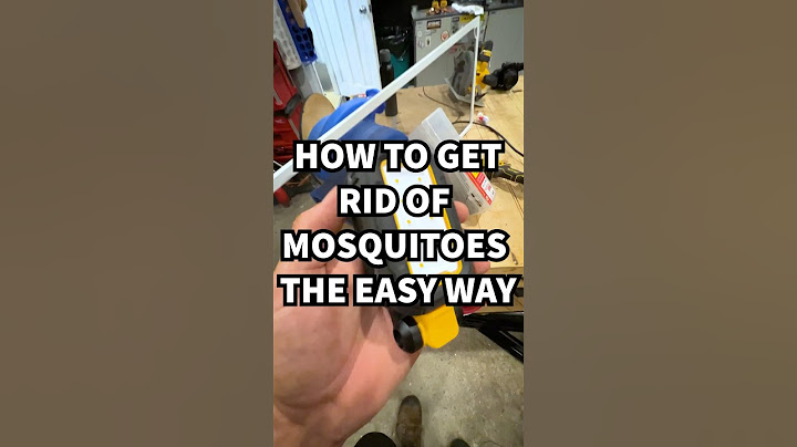 Buzz Off Mosquitoes | Getting Rid of Mosquitoes the Easy way #shorts #lifehack #mosquitoes