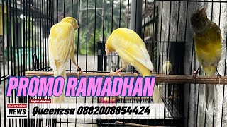 PROMO RAMADHAN HARGA KENARI AMAN!!!!