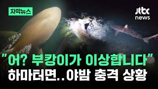 [자막뉴스] "어? 부캉이가 이상합니다" 하마터면…야밤 충격 상황 / JTBC News