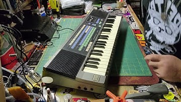 Casio SK-200 Demo for Listing info...