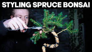 Making Bonsai from Spruce - Clip and Grow Technique