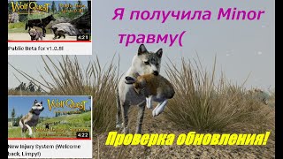 видео: Мифина получает незначительные травмы Minor в игре WolfQuest Anniversary Edition #1 @WolfQuestGame картинка: Мифина получает незначительные травмы Minor в игре WolfQuest Anniversary Edition #1 @WolfQuestGame