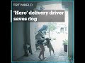 Amazon driver saves woman and her dog from an aggressive dog attack