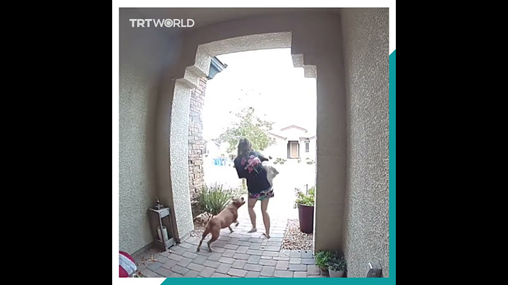 Amazon driver saves woman and her dog from an aggressive dog attack