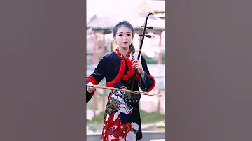 Chinese Erhu Plays Big Fish And Begonia 