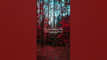 سورة الزمر الشيخ ماهر المعيقلي