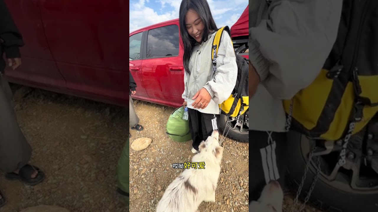 Riding in Luxury: A Young Lady's Self-Driving Adventure in a RV