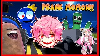 PRANK MOMON DENGAN RAINBOW FRIEND DAN NEXT BOT KARAKTER !! Feat @sapipurba Roblox RolePlay