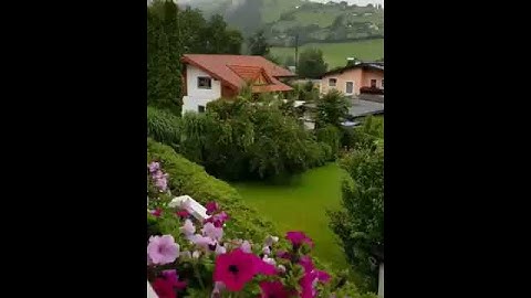 سورة الشرح😍😘اجمل صوت