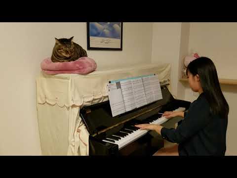 緑黄色社会『sabotage』ピアノ    ～猫と一緒～