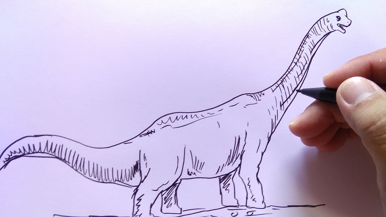 Cara Menggambar Dinosaurus Brontosaurus Youtube