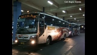 sing penting yakin,2 bus Mira 7820 adu balap diNgawi