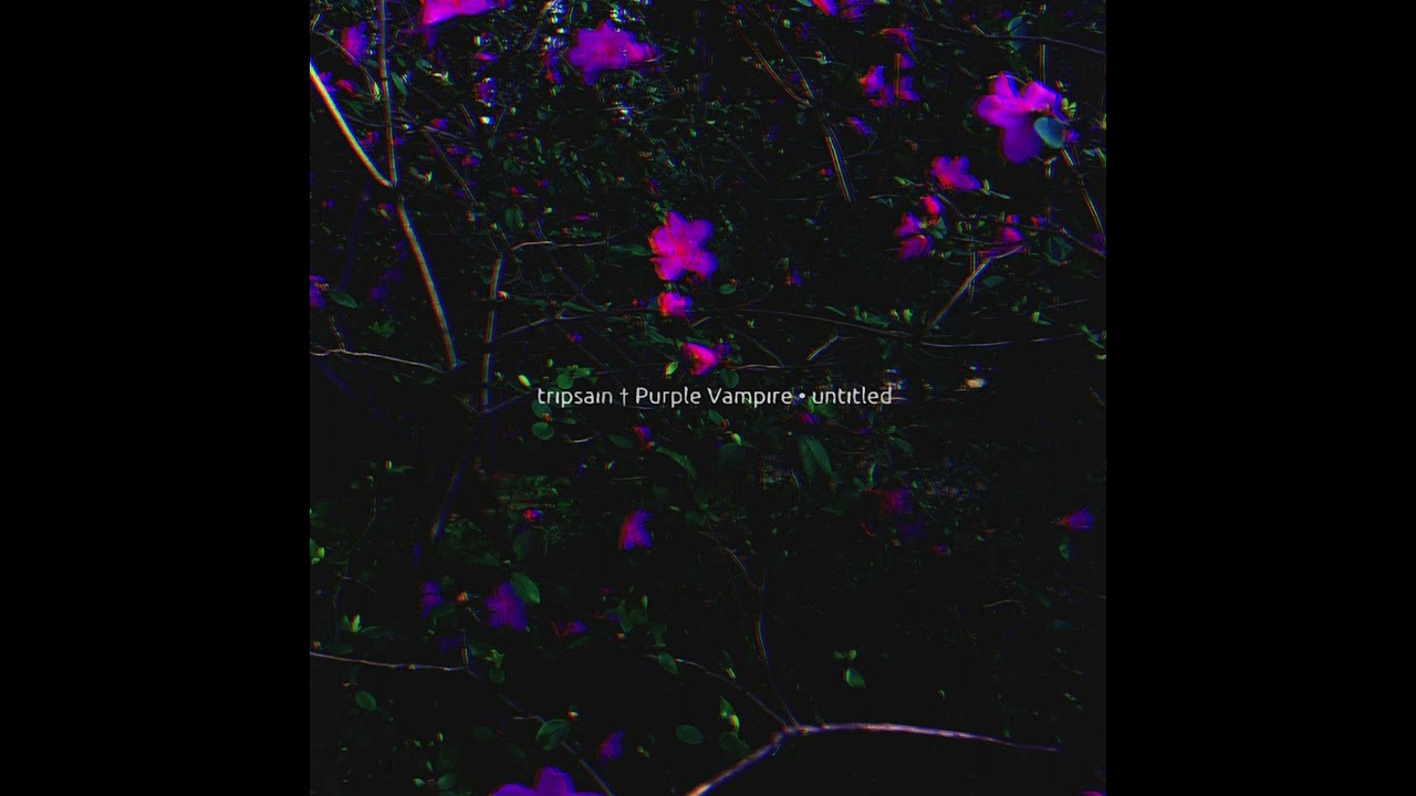 tripsain × Purple Vampire — Untitled | Dark Ambient Night Vibe adlı videoyu YouTube'da izle tripsain × Purple Vampire — Untitled | Dark Ambient Night Vibe adlı videoyu YouTube'da izle