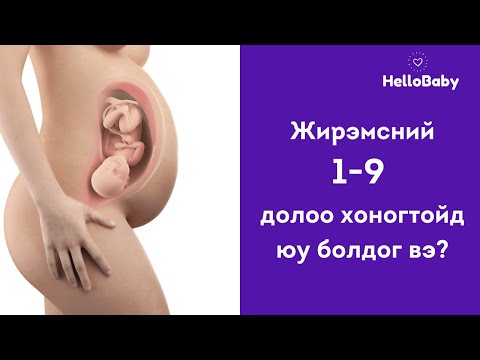 Видео: Эрэгтэй хүний тосонд орохгүй жирэмслэх боломжтой юу?