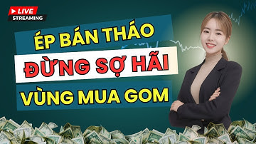Bị Ép Bán Tháo: Đừng Hoảng Loạn! Đây Là Vùng Mua Gom Lý Tưởng?